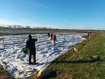 adults stand on weeb membrane on a field, blue sky