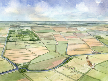 Watercolour illustration of farmed fields surrounding Woodwalton Fen NNR