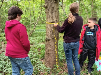 Two young people watch an adult measure the circumference of a tree with a yellow tape measure