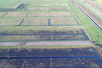 Water Works wet farming test beds