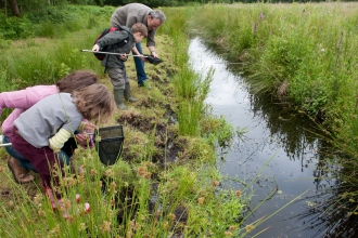 Family pond dipping