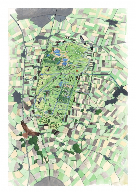 Great Fen vision map 2011