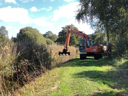 Digger on grass pathway next to water and tall reeds
