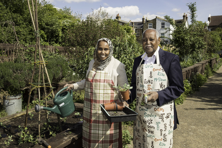 Indian lady in headscarf and apron and indian man with grey hair in apron gardening in sunshine smiling to camera. She holds a watering can and try of pots, he holds a plant pot and trowel . they stand by a raised bed