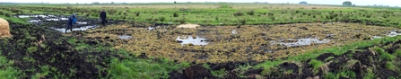 Landscape view of moss spread on field plot