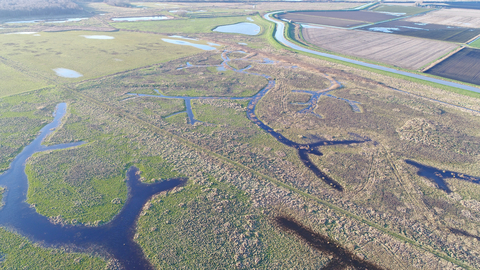 Kester's Docking and Rymes Reedbed on 25 December 2020