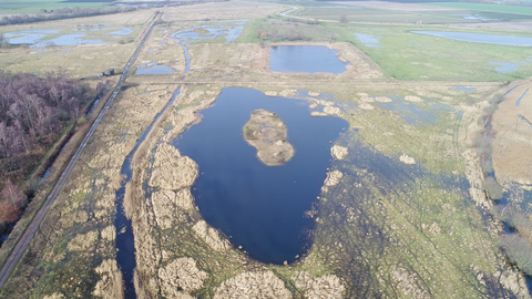 Rymes Reedbed by Henry Stanier