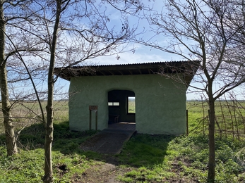 Jon's Hide at New Decoy