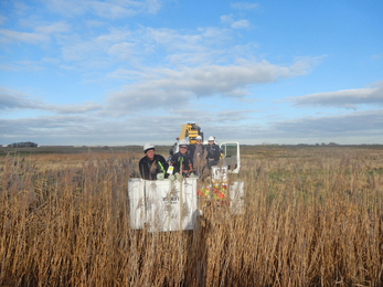 UK Power Networks installing bird diverters by Henry Stanier