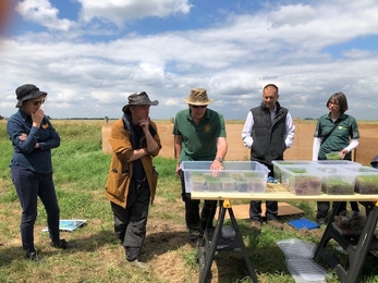 5 adults looking into plastic tubs of moss on a table in a field