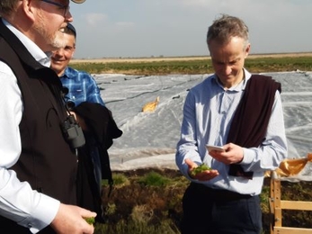 3 adult males, one holding moss in his right hand and photographing it on his phone in the left hand