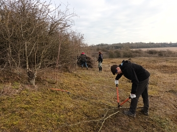 Young person with loppers cutting tree branches, view of trees and hills in background