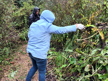 Tansy and Lewis in rain jackets cutting vegetation around a path