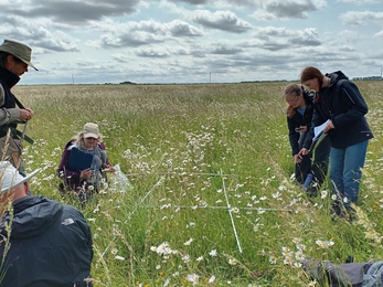 People looking at wildflowers in a tall grass meadow using a quadrat frame