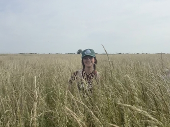 Lucy stands in a field of grass as tall as her shoulders