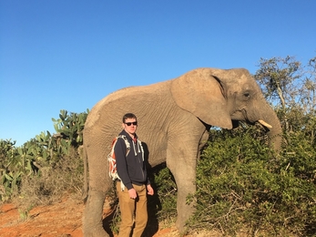 Sam stands next to an elephant. The ground is red and the sky is blue