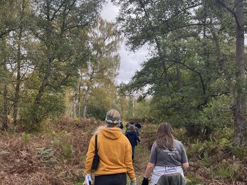 A group of young people walk through Holme Fen birch woodland away from camera. 