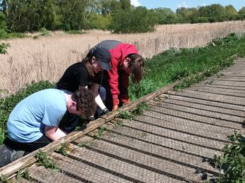Two boys and a young woman repair a boardwalk in the sun