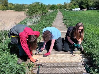 Two boys and a young woman repair a boardwalk in the sun