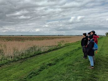 Three young men and a woman stand on a raised bank looking over fields