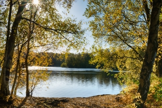 Holme Fen