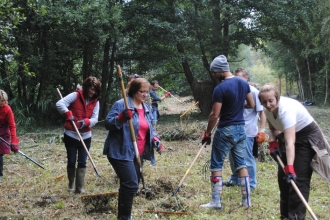 Reserve Volunteer's 