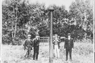 Holme Fen Posts