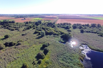 Holme Fen  The Great Fen