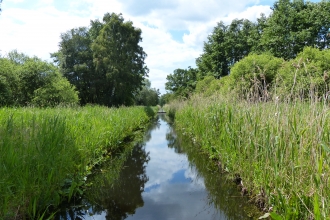 Waterway at Woodwalton Fen