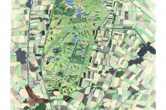 Great Fen vision map 2011