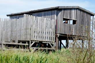 Thom J at Trundle Mere Hide, Great Fen by Caroline Fitton