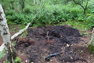 Holme Fen fire burnt ground June 2021