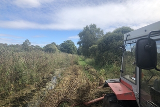 Tractor raking at Woodwalton Fen