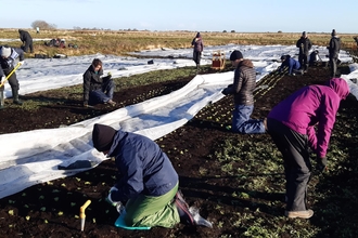 Volunteers planting sphagnum moss at Water Works