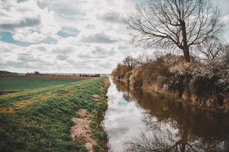 View from Woodwalton Fen bridge looking over green field on the left, water-filled drain in the middle, and woodland on the right