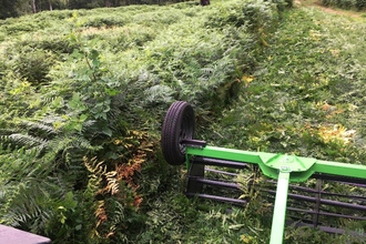 Rolling blades on wheels over green bracken leaves