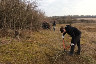 Young person with loppers cutting tree branches, view of trees and hills in background