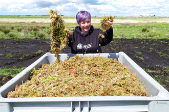 Lorna Parker stand behind a container of sphagnum moss, holding handfuls and smiling to camera