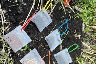 A range of biochar, tea and wood litterbags.