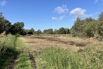 Blue sky over green trees and a cleared area of land in the foreground 