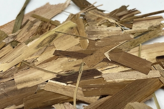 Pieces of typha leaves and stalk pressed flat and stuck together