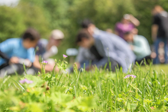 Focus on small wildflowers in foreground with blurred young people looking at plants in background
