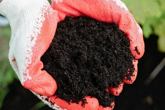 Gloved hands holding black compost