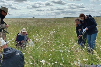 People looking at wildflowers in a tall grass meadow using a quadrat frame