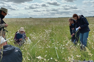 Group of volunteers and interns counting and identifying grassland species in a quadrat