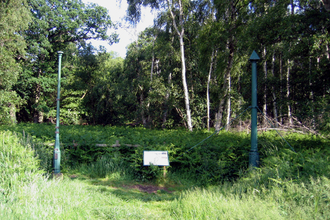 Two tall metal posts stand either side of an information board in a silver birch woodland