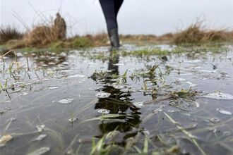 Shot of a flooded grassland with someone in wellies walking away