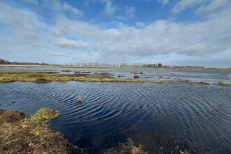Water pooling over the fields under blue fen sky with white clouds