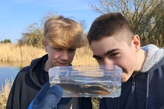 Great crested newt survey