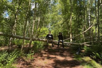 Two teen boys sit on a fallen tree over a path through woodland